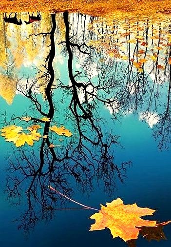 Autumn Reflection, Russia