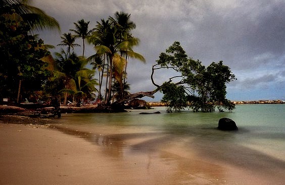 by 7Krys on Flickr.Cream Sand Beach - Guadeloupe Islands, Caribbeans.