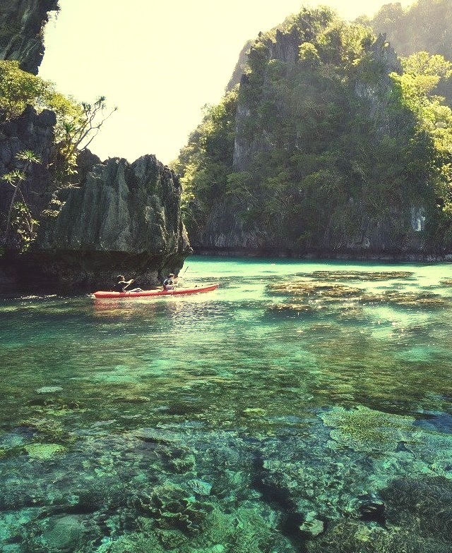 Coral reefs in the beautiful Palawan Islands, Philippines