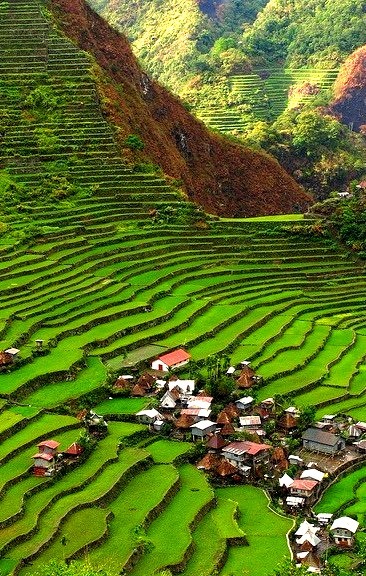 Batad Rice Terraces in Ifugao Province, Philippines