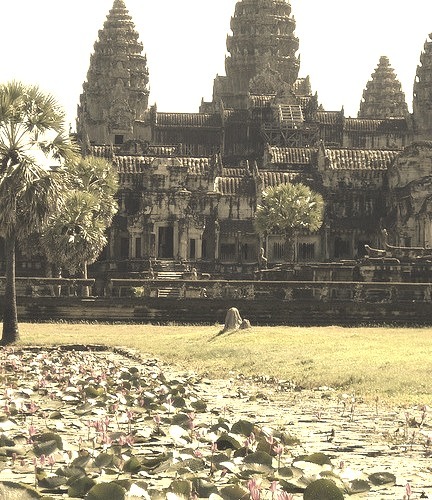Pond filled with water lilies in Angkor Wat, Cambodia