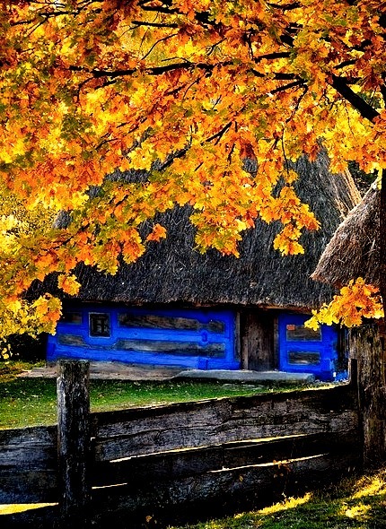Autumn at the outdoor Museum of Folk Architecture and Life of Ukraine in Pirogov