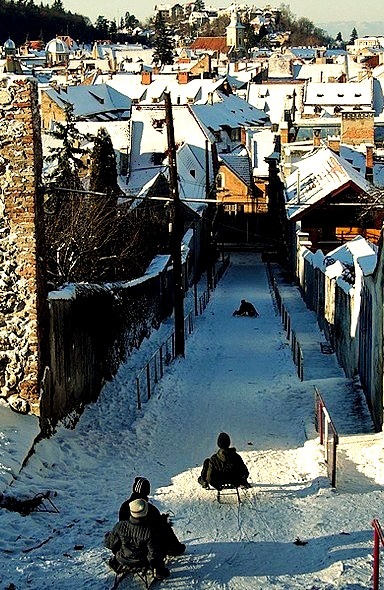 Snow Sledding, Brasov, Romania